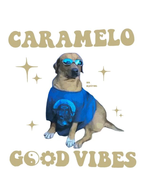 camiseta caramelo brasilidades