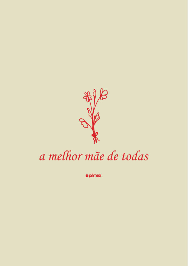 camiseta melhor mãe dia das mães