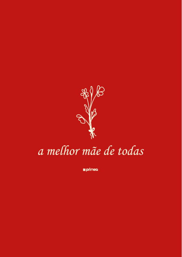 camiseta melhor mãe dia das mães